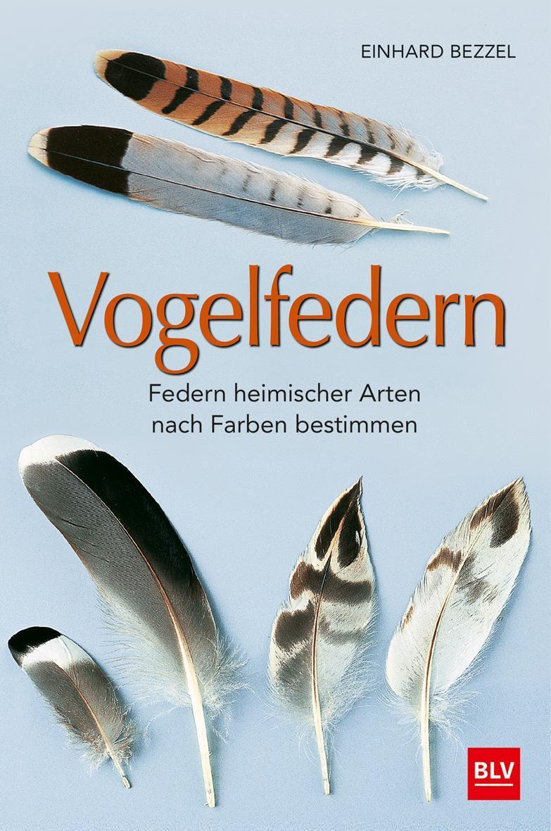 Thumbnail - Vogelfedern Einhard Bezzel
