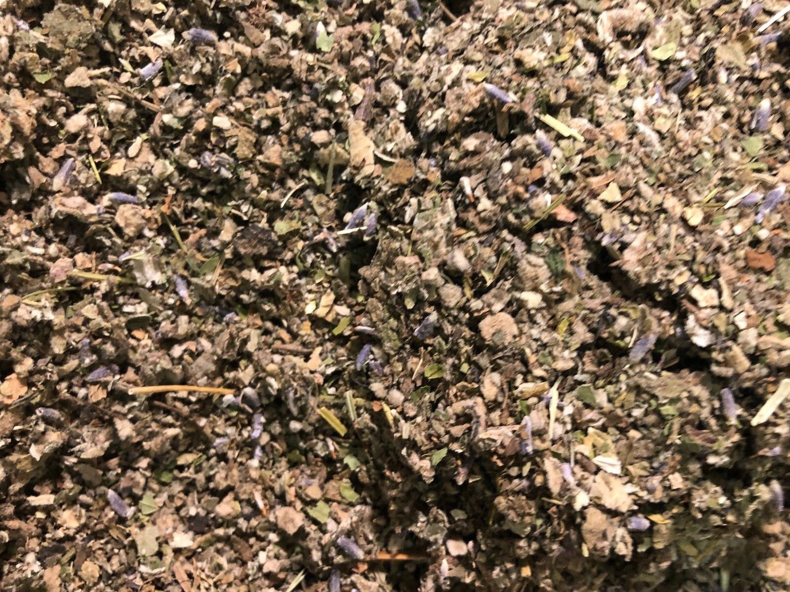 No.31 Tea Mix - Clove Mint Skullcap Mullein Coltsfoot  Lavender Raspberry - 2 oz