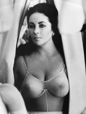 Elizabeth Taylor Actress Sexy Pin Up High Quality Metal Fridge Magnet 3x4 7897