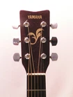 Picture 3 of 6