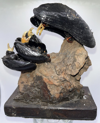 Vulture on Driftwood Feeding Baby Birds Swezey? Folk Art Mussel Shells Sculpture