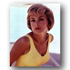 Janet Leigh actress iconic beauty studio portrait soft smile 8x10 Photo
