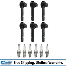 TRQ Engine Ignition Coil & NGK Spark Plug Kit 12 Piece Set for Honda Accord V6