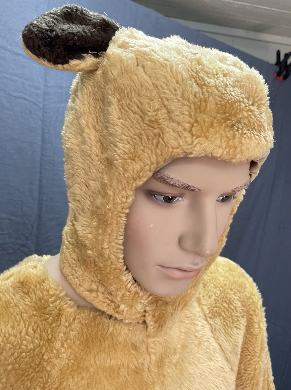 Bear - image 2