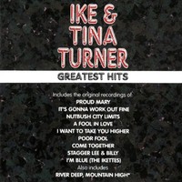 Turner - Greatest Hits - Vinyl Record - G3Z
