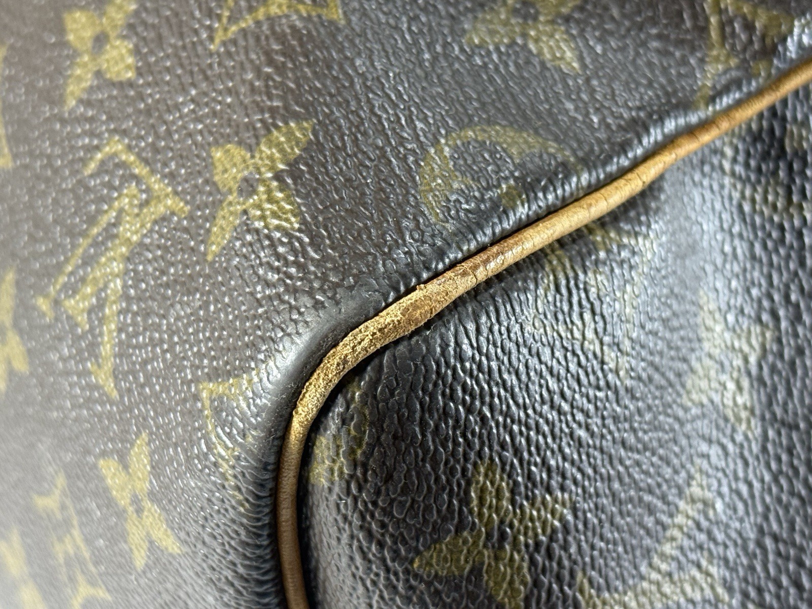 Picture 19 of 24