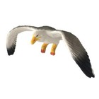 Bild 4 von 7