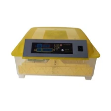 Incubator Chicken Duck Bird Eggs Automatic Small Home Type Incubator