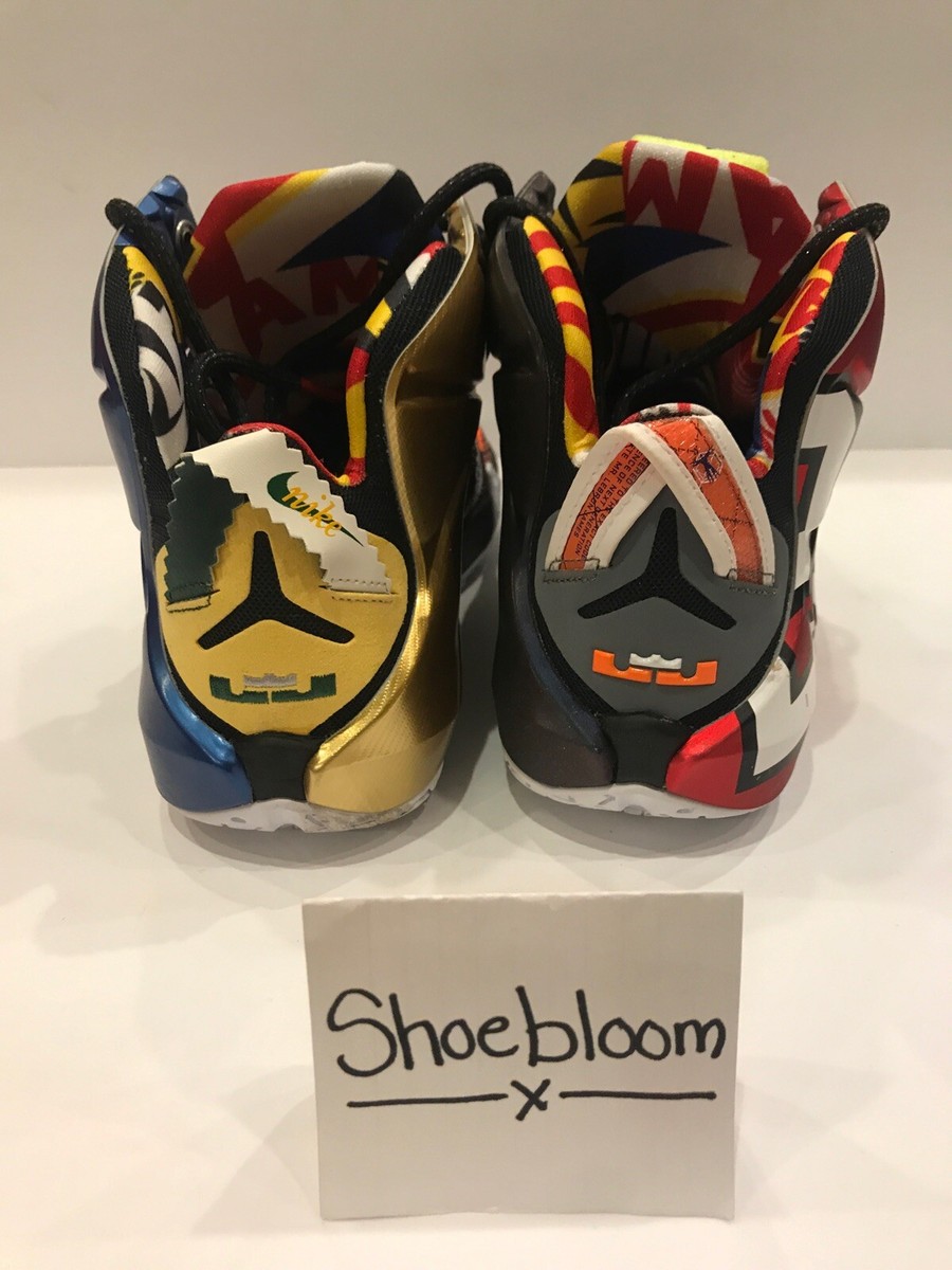 Nike Lebron XII 12 SE WTL What the Lebron James PE Size 11