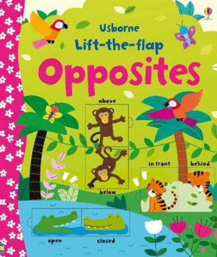Felicity Brooks Lift-the-flap Opposites (Libro di cartone) Young Lift-the-flap