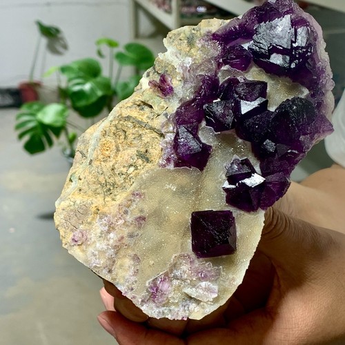 1.51LB Rare natural transparent purple cubic fluorite crystal sample/China - Picture 14 of 17