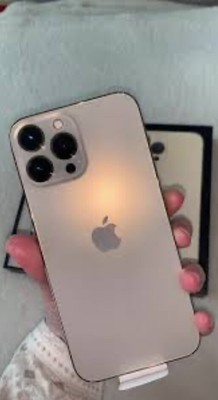 iphone 13 pro max 256gb Gold mit installiertem Tiktok - schneller Versand nach Amerika!