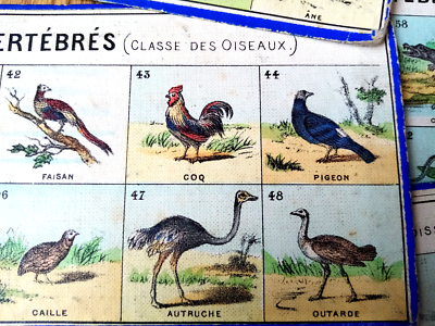 Loto zoologique. by REVENAZ & TABERNAT (édité par