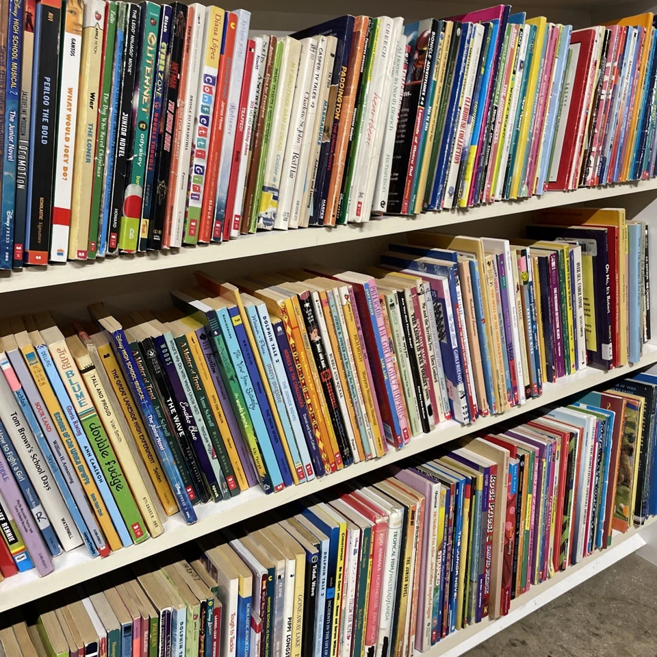 Bulk/Huge Lot of 100 of Children's Kids Chapter Books - Random - Free Shipping! Foto 4 de 4