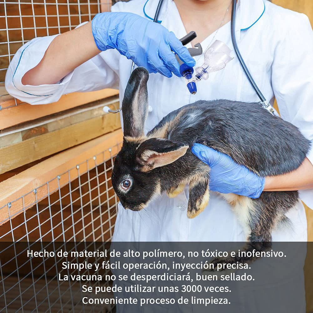 Imagen 8 de 23