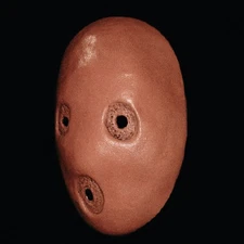 PINK FLOYD The Wall LATEX MASK Costume Cosplay Halloween Waters Gilmour movie