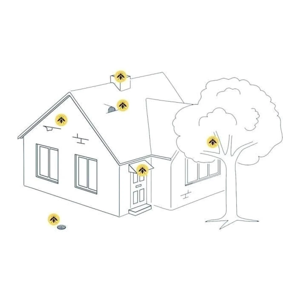 Aérosol Anti Guêpes Frelons Taons Kapo - 500mL - Longue Portée - Photo 4/4