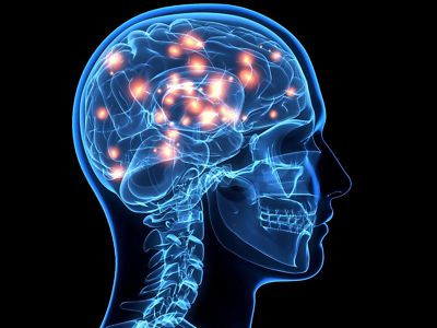 dopamine - DOPA 99% - mucuna pruriens capsules - 3 Bottles