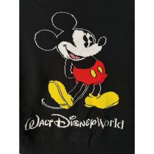 Disney Classic Mickey Mouse Walt Disney World Graphic Knit Sweater Youth Large - Picture 3 of 4