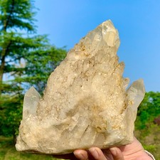 6.67 Natural Pineapple white backbone Quartz Cluster Point Crystal Healing Decor