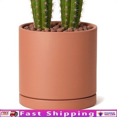 plant pot drip irrigation WiFi Automatic Watering System For Indoor Potted Plants – RainPoint main image 1