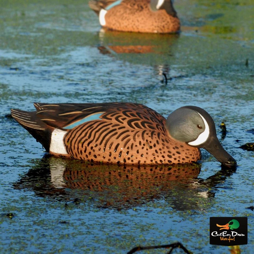 AVERY OUTDOORS GREENHEAD GEAR GHG PRO GRADE BLUE WINGED TEAL DUCK DECOYS - Image 3 of 4
