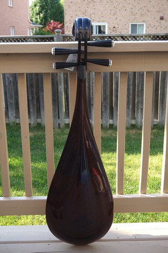DUNHUANG Pipa, Chinese Lute - Professional Rosewood Pipa With Case - 敦煌專業花梨木琵琶 - Picture 2 of 10