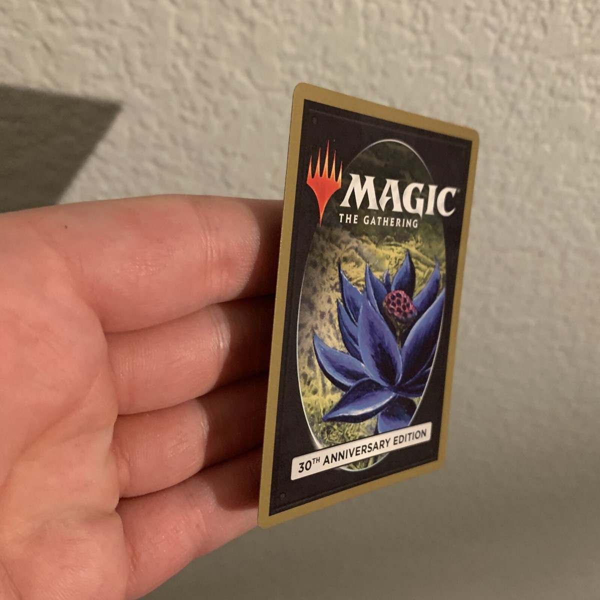 マジック：ザ・ギャザリング Lich mtg 30th anniversary edition