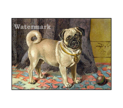 Pug Dog Vintage Tuck Cotton Quilt Block Multi Sizes