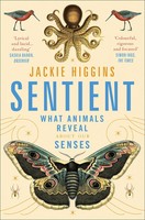 Sentient | What Animals Reveal About Human Senses | Jackie Higgins | Englisch