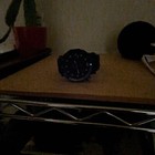 Bild 10 von 13