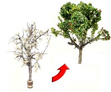 30 3-4 SAGEBRUSH MODEL RAILROAD Diorama TREE ...