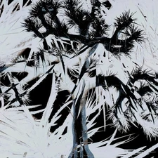 Plastic Tree [Standard Edition] Japan CD NEW