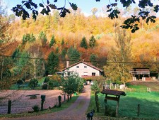 location Vacances : GITE A LA FERME EN FORET AVEC RANDONNEE EN ANES 5 PERS