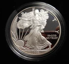2008-W Proof Silver American Eagle 1 oz coin w/ box & COA