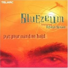 Put Your Mind on Hold von Bluezeum | CD | Zustand gut