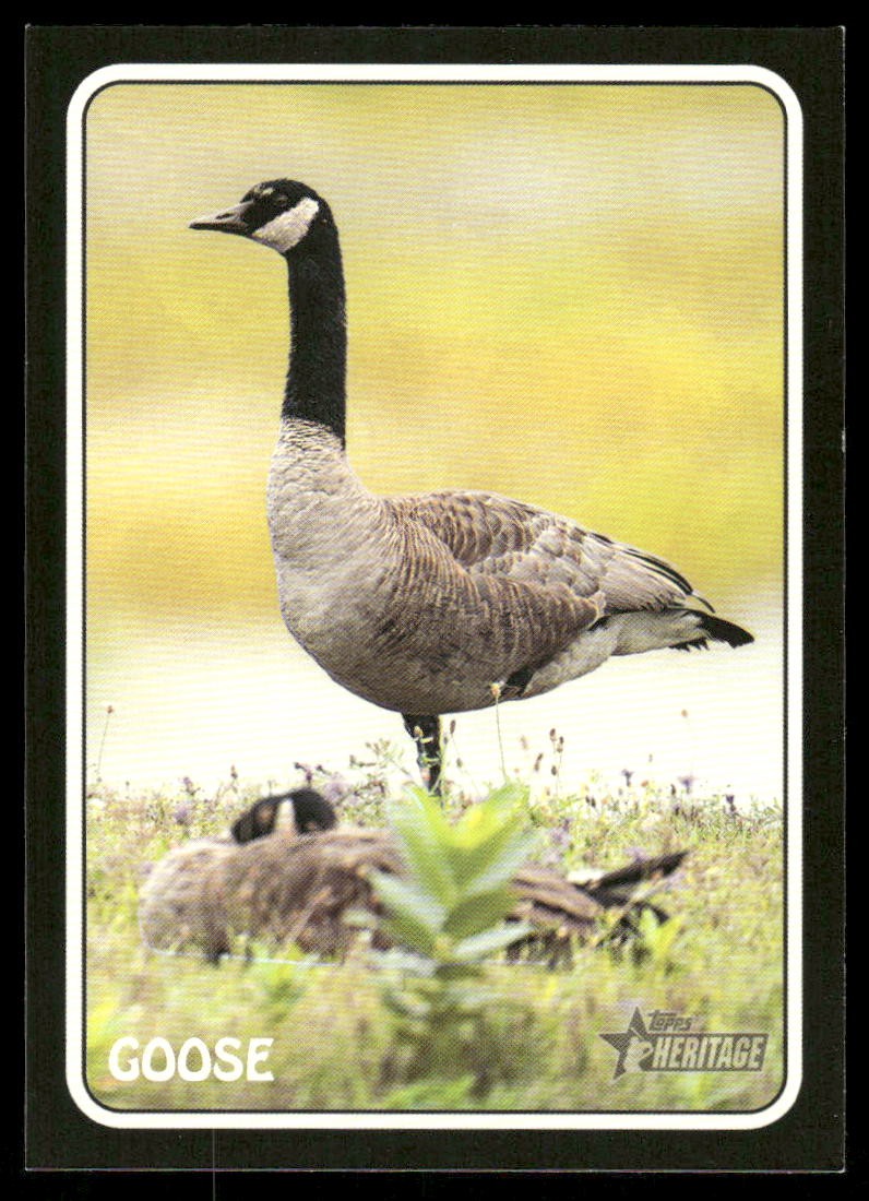2024 Topps Heritage #75Z-13 Goose 1975 Topps Zoo's Who Stick-Ons