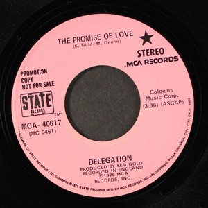 Delegation the Promise of Love | eBay