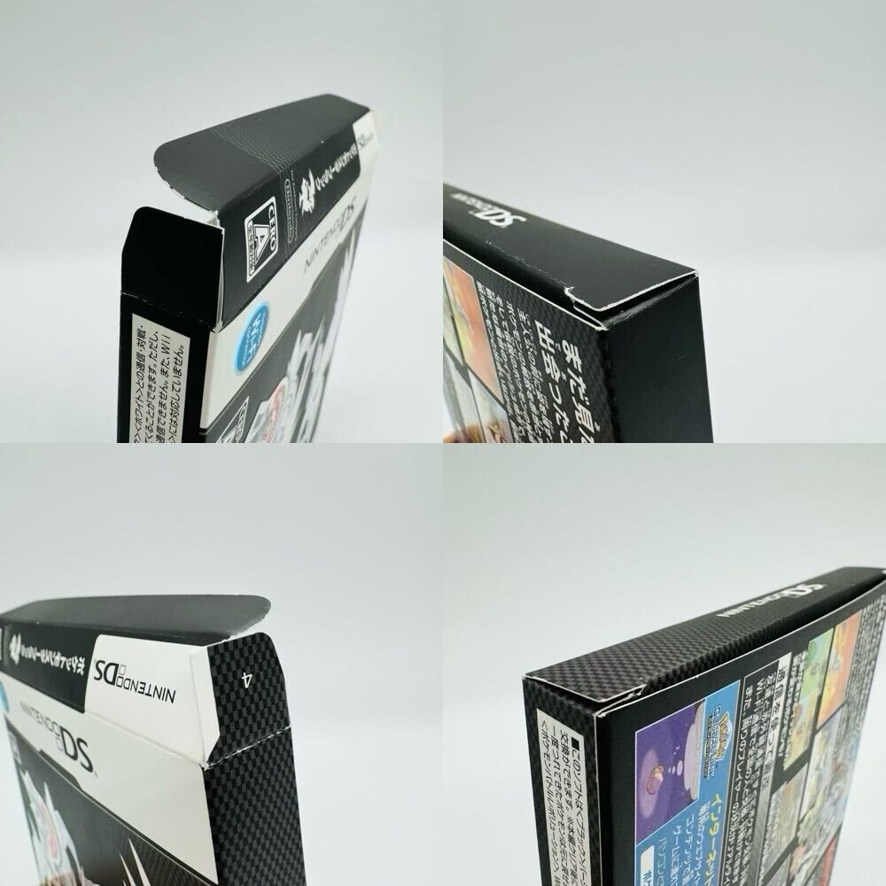 Pocket Monsters Black (Nintendo DS, 2010) - Japanese Version