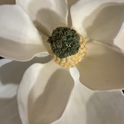 Picture 2 of 24