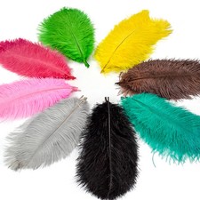 15-60CM Farm Colorful Ostrich Feathers Large Feathers Plumes Decoration 10PCS G5