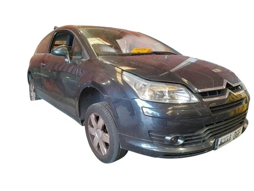 8701V0 Porton Trasero para CITROEN C4 COUPE VTR 2005 258448 - Imagen 3 de 6