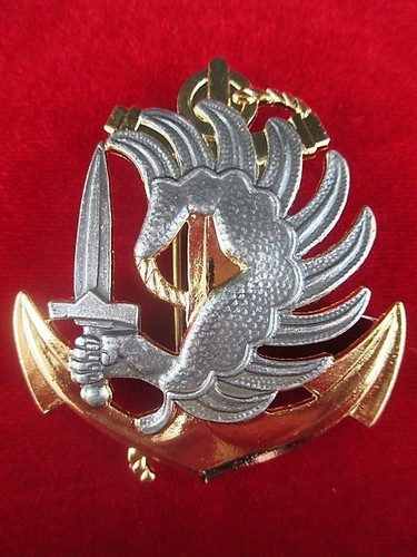 FRENCH SAS 1st MARINE INFANTRY PARACHUTE REGIMENT BERET BADGE * GENUINE * - Picture 2 of 3