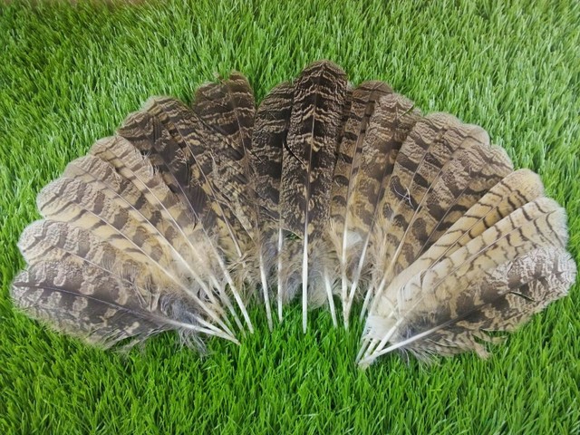 Zucker Barn Owl Feather Mask Natural Feathers Adult For Sale