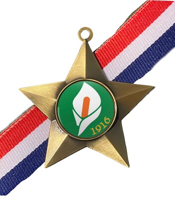 Personalisierte antike goldene Sternmedaille & Band von 1916 Lilly Osternaufstand