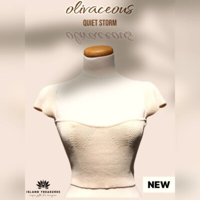 NWT Quiet Storm Olivaceous Kira Knit Tan Cable Sweater Women Size M