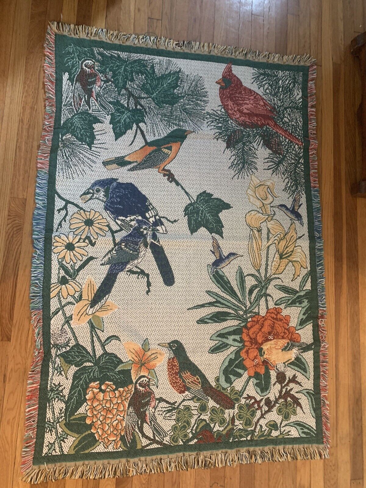 Foto 1 di 10