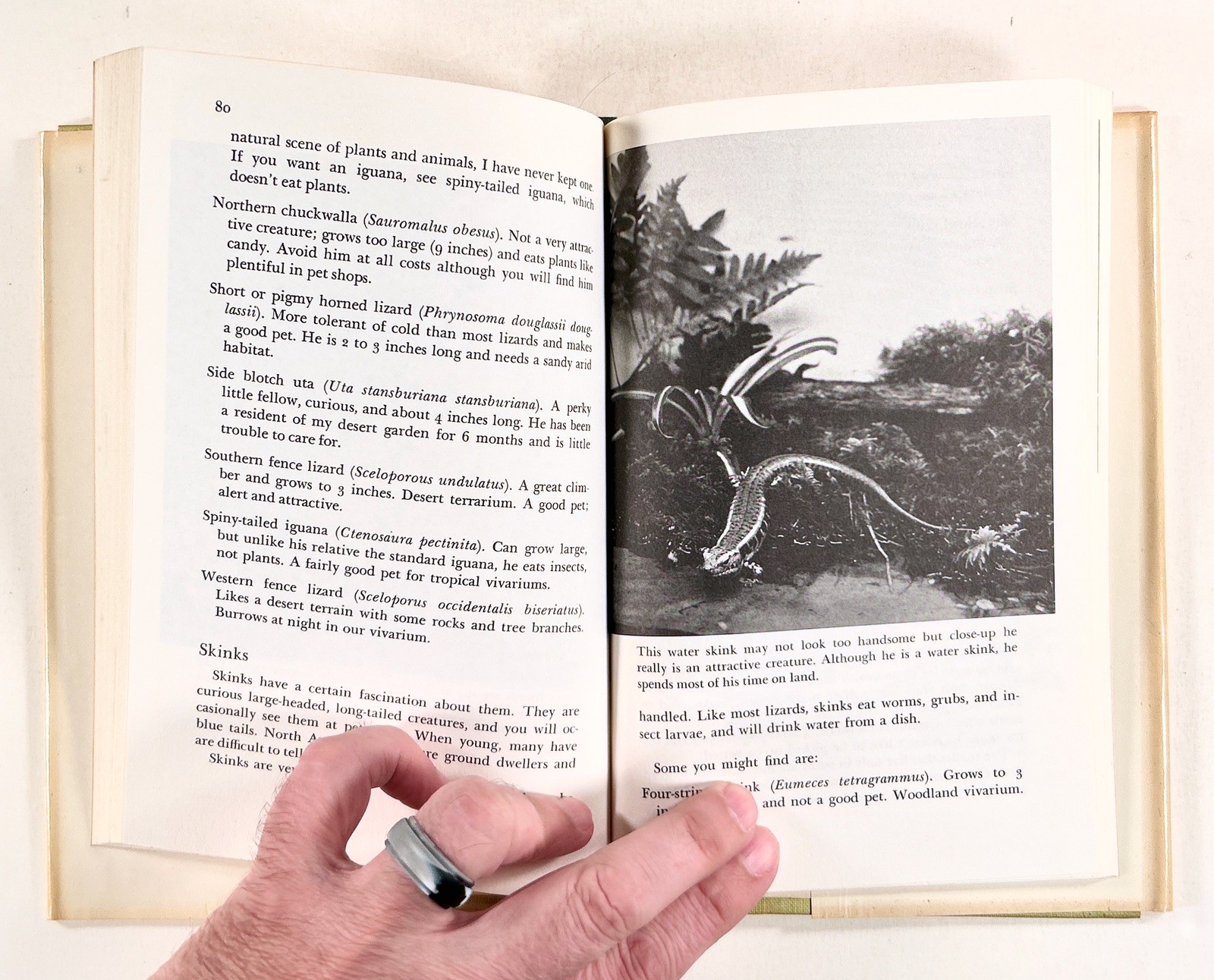 1973 Kramer PETS & PLANTS IN MINIATURE GARDENS Build Vivariums & Terrariums HCDJ