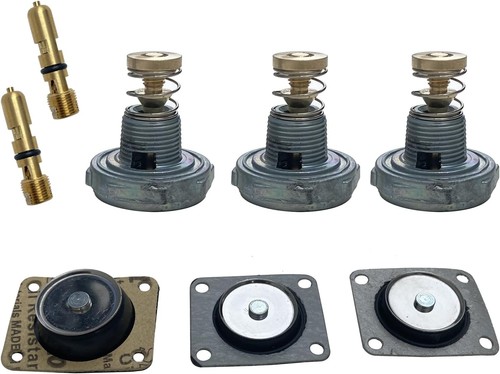 Carburetor Rebuild Kit Repacement For Holley Renew Kits 37-485... - Imagen 4 de 7