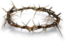Authentic Biblical Lifesize 8" Crown of Thorns from Jerusalem w/ Certificate